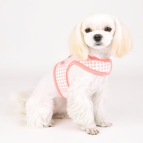 Pinkaholic Alaia Pinka Harness Indian Pink hondentuig > honden harnas > model B Small