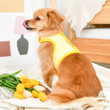 Pinkaholic Alaia Pinka Harness Yellow - Premium hondentuig > honden harnas from Pinkaholic - Just €29.99! Shop now at Frenkiezdogshop