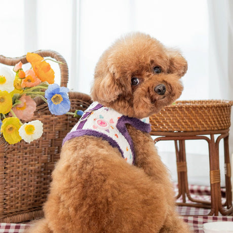 Pinkaholic Merry Pinka Harness Purple hondentuig > honden harnas > model B Small