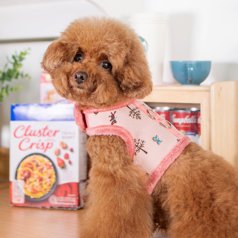 Pinkaholic Eira Pinka Harness Indian Pink - Premium hondentuig > honden harnas from Pinkaholic - Just €28.99! Shop now at Frenkiezdogshop