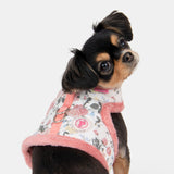 Pinkaholic Calla Pinka Harness Ivory - Premium hondentuig > honden harnas from Pinkaholic - Just €29.99! Shop now at Frenkiezdogshop