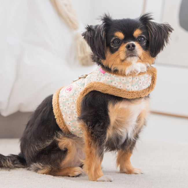 Pinkaholic Kalina Pinka Harness Beige - Premium hondentuig > honden harnas from Pinkaholic - Just €29.99! Shop now at Frenkiezdogshop