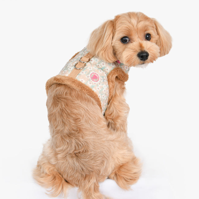 Pinkaholic Kalina Pinka Harness Beige - Premium hondentuig > honden harnas from Pinkaholic - Just €29.99! Shop now at Frenkiezdogshop