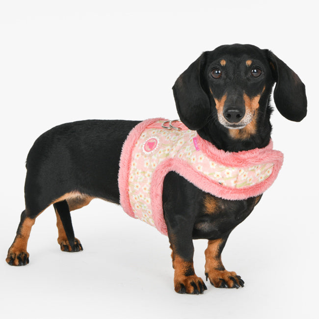 Pinkaholic Kalina Pinka Harness Indian Pink - Premium hondentuig > honden harnas from Pinkaholic - Just €29.99! Shop now at Frenkiezdogshop