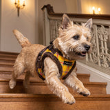 Puppia Galaxia Vest Harness Model B - Brown