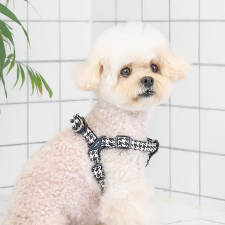 Puppia Egon Harness X Plus Black hondentuig > honden harnas > overige modellen Small