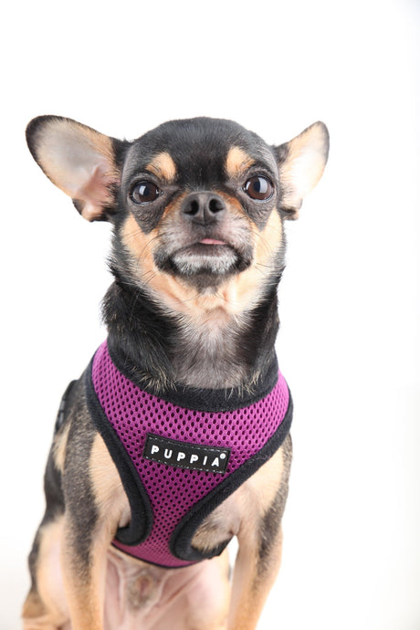 Puppia Soft Harness model A purple hondentuig > honden harnas > model A X - Small