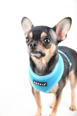 Puppia Soft Harness model A skyblue - Premium hondentuig > honden harnas from Puppia - Just €18.99! Shop now at Frenkiezdogshop