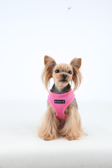 Puppia Soft Harness model A pink hondentuig > honden harnas > model A X - Small