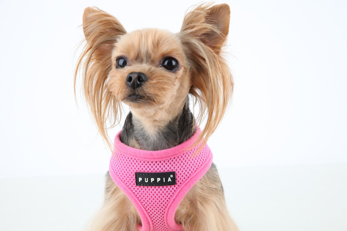 Puppia Soft Harness model A pink - Premium hondentuig > honden harnas from Puppia - Just €18.99! Shop now at Frenkiezdogshop