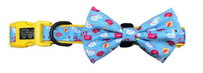 Big and Little Dogs Halsband it's a Pool Party - Premium halsband > hondenhalsband from Big and Little Dogs - Just €10! Shop now at Frenkiezdogshop