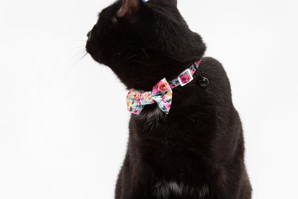 Little Kitty Cat Collar & Bow Tie That Floral Feeling - Premium halsband > kattenhalsband from Little Kitty - Just €9.99! Shop now at Frenkiezdogshop