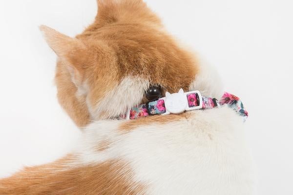 Little Kitty Cat Collar & Bow Tie That Floral Feeling - Premium halsband > kattenhalsband from Little Kitty - Just €9.99! Shop now at Frenkiezdogshop