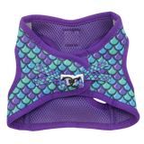 Little Kitty Cat Harness Scaled Back - Premium Kattentuig > kattenharnas from Little Kitty - Just €19.99! Shop now at Frenkiezdogshop