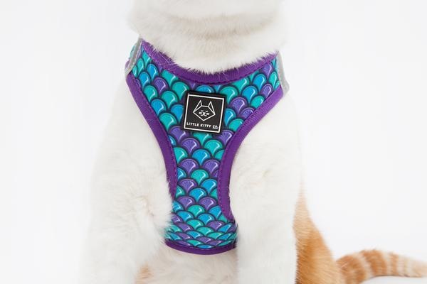 Little Kitty Cat Harness Scaled Back - Premium Kattentuig > kattenharnas from Little Kitty - Just €19.99! Shop now at Frenkiezdogshop