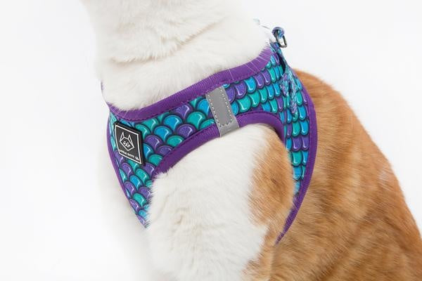 Little Kitty Cat Harness Scaled Back - Premium Kattentuig > kattenharnas from Little Kitty - Just €19.99! Shop now at Frenkiezdogshop