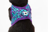 Little Kitty Cat Harness Scaled Back - Premium Kattentuig > kattenharnas from Little Kitty - Just €19.99! Shop now at Frenkiezdogshop