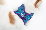 Little Kitty Cat Harness Scaled Back - Premium Kattentuig > kattenharnas from Little Kitty - Just €19.99! Shop now at Frenkiezdogshop