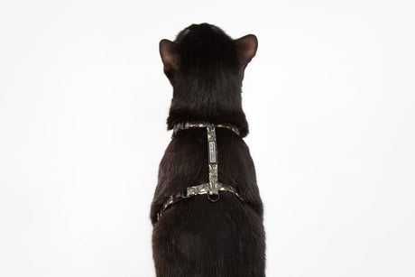 Little Kitty Strap Harness Cool Cat Camo - Premium Kattentuig > kattenharnas from Little Kitty - Just €17.99! Shop now at Frenkiezdogshop