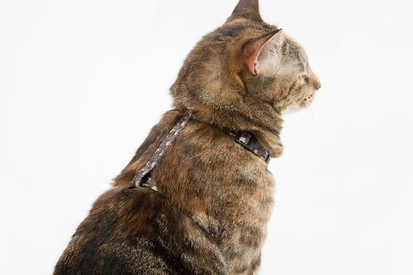 Little Kitty Strap Harness Cool Cat Camo - Premium Kattentuig > kattenharnas from Little Kitty - Just €17.99! Shop now at Frenkiezdogshop