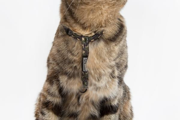 Little Kitty Strap Harness Cool Cat Camo - Premium Kattentuig > kattenharnas from Little Kitty - Just €17.99! Shop now at Frenkiezdogshop