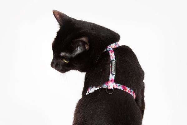 Little Kitty Strap Harness That Floral Feeling - Premium Kattentuig > kattenharnas from Little Kitty - Just €17.99! Shop now at Frenkiezdogshop