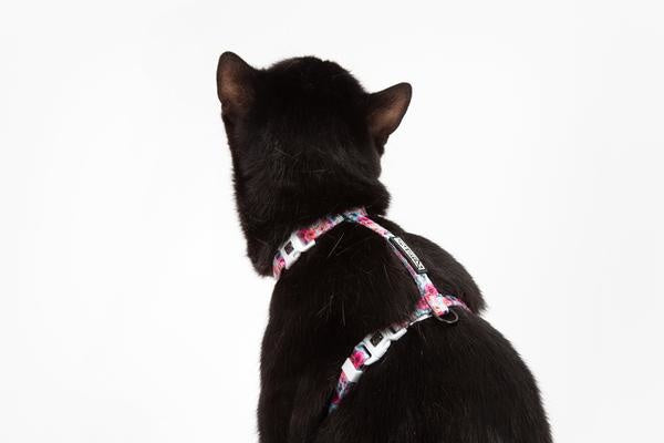 Little Kitty Strap Harness That Floral Feeling - Premium Kattentuig > kattenharnas from Little Kitty - Just €17.99! Shop now at Frenkiezdogshop