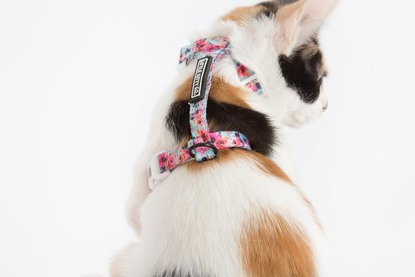 Little Kitty Strap Harness That Floral Feeling - Premium Kattentuig > kattenharnas from Little Kitty - Just €17.99! Shop now at Frenkiezdogshop