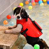 Puppia Irwin Life Jacket Red - Premium reddingsvest > hondenreddingsvest from Puppia - Just €55.99! Shop now at Frenkiezdogshop