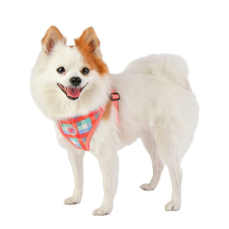 Pinkaholic Vivica Harness pink hondentuig > honden harnas > model A Small