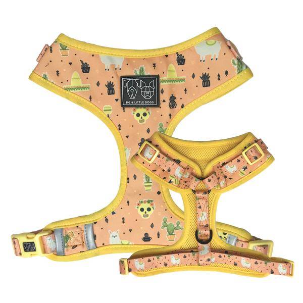 Big and Little Dogs Adjustable Dog Harness Mexicali (  X Large ) - Premium hondentuig > honden harnas from Big and Little Dogs - Just €24.99! Shop now at Frenkiezdogshop