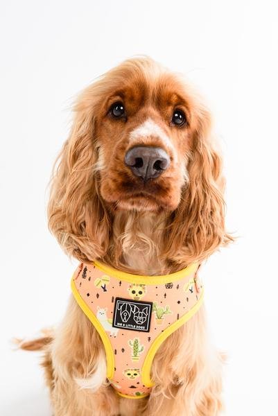 Big and Little Dogs Adjustable Dog Harness Mexicali (  X Large ) - Premium hondentuig > honden harnas from Big and Little Dogs - Just €24.99! Shop now at Frenkiezdogshop