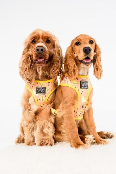 Big and Little Dogs Adjustable Dog Harness Mexicali ( X Large ) hondentuig > honden harnas > model A Large