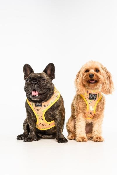 Big and Little Dogs Adjustable Dog Harness Mexicali ( X Large ) hondentuig > honden harnas > model A Large