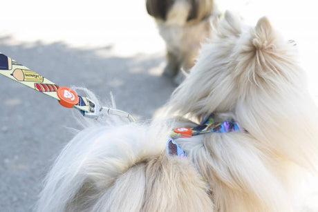 Dukier Classic Harness icecream hondentuig > honden harnas > overige modellen Small