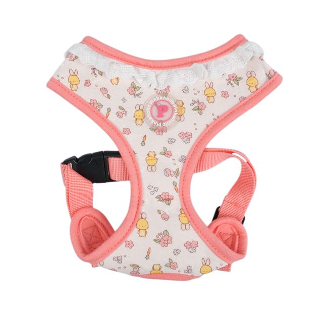 Pinkaholic Amara Harness Indian Pink