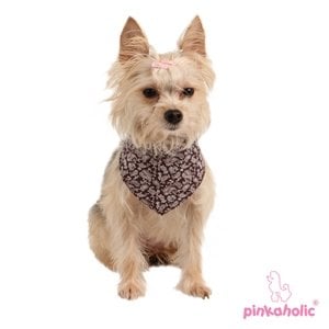 Pinkaholic Carla Bandana Brown - Premium Hondenkleding > bandana from Pinkaholic - Just €12.99! Shop now at Frenkiezdogshop