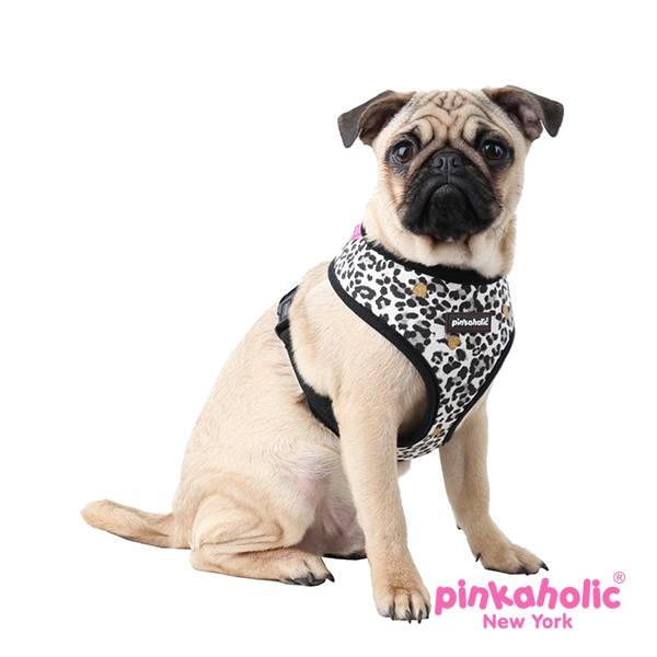 Pinkaholic Leo Harness black - Premium hondentuig > honden harnas from Pinkaholic - Just €22.99! Shop now at Frenkiezdogshop