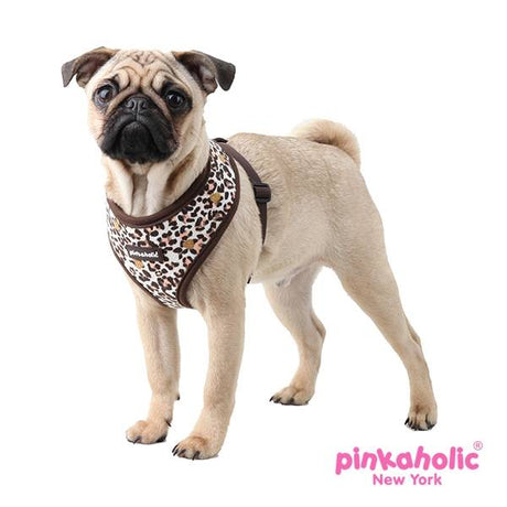Pinkaholic Leo Harness brown hondentuig > honden harnas > model A Small