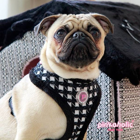 Pinkaholic Cosmo Harness black ( ALLEEN MAAT SMALL ) hondentuig > honden harnas > model A Small