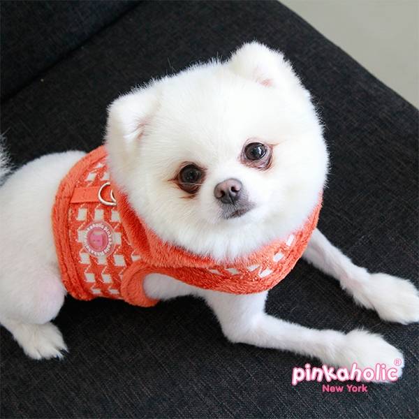 Pinkaholic Cosmo Pinka Harness orange  ( alleen  small) - Premium hondentuig > honden harnas from Pinkaholic - Just €24.99! Shop now at Frenkiezdogshop