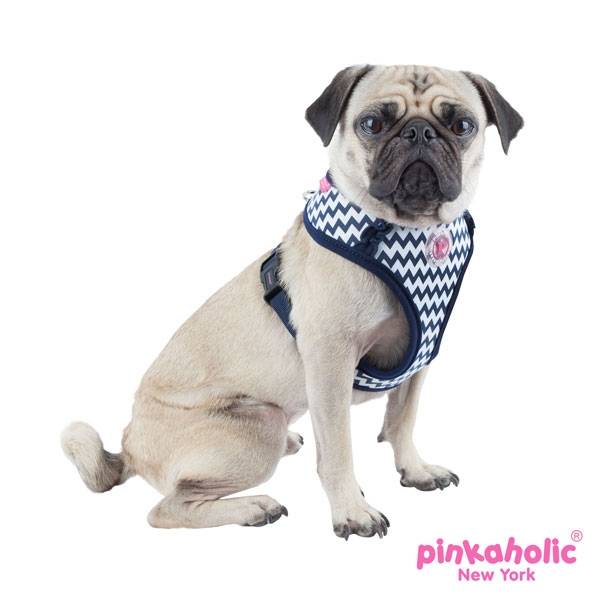 Pinkaholic Ziggy Harness Navy - Premium hondentuig > honden harnas from Pinkaholic - Just €24.99! Shop now at Frenkiezdogshop