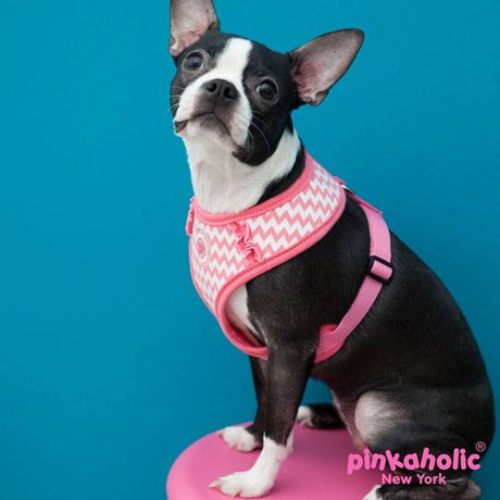 Pinkaholic Ziggy Harness Pink hondentuig > honden harnas > model A Small