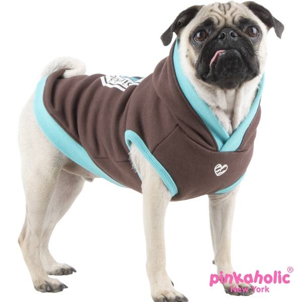 Pinkaholic Chiquito Hoodie Brown - Premium Hondenkleding > Hondentrui from Pinkaholic - Just €24.99! Shop now at Frenkiezdogshop