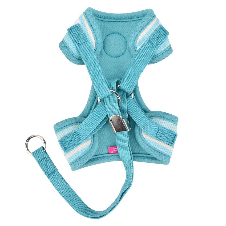 Pinkaholic Cara Harness C Aqua - Premium hondentuig > honden harnas from Pinkaholic - Just €22.99! Shop now at Frenkiezdogshop