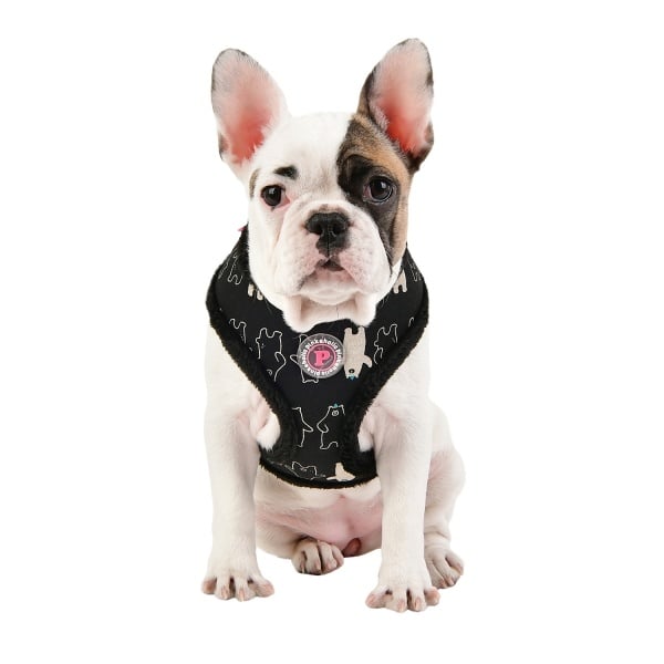 Pinkaholic Ursa Harness Black - Premium hondentuig > honden harnas from Pinkaholic - Just €27.99! Shop now at Frenkiezdogshop