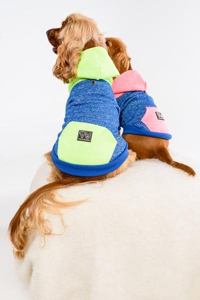 Big and  Little Dogs hoody jumper Active Pup Neon Pink ( Large ) - Premium Hondenkleding > Hondentrui from Big and Little Dogs - Just €28.99! Shop now at Frenkiezdogshop