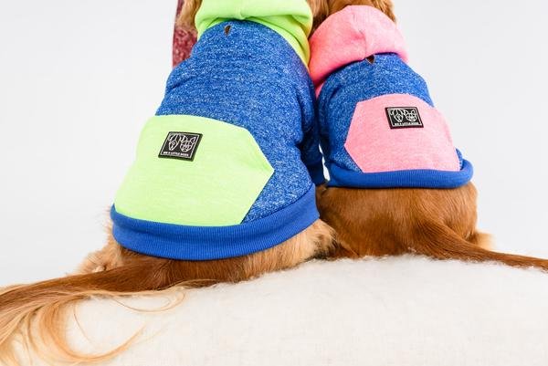 Big and  Little Dogs hoody jumper Active Pup Neon Pink ( Large ) - Premium Hondenkleding > Hondentrui from Big and Little Dogs - Just €28.99! Shop now at Frenkiezdogshop