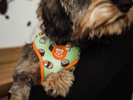 Dukier Reversible Harness Sushi hondentuig > honden harnas > model A X - Small