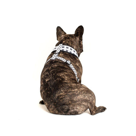 Big & Little Dogs Classic Harness Nordic Crosses ( XX LARGE ) hondentuig > honden harnas > model A X - Large